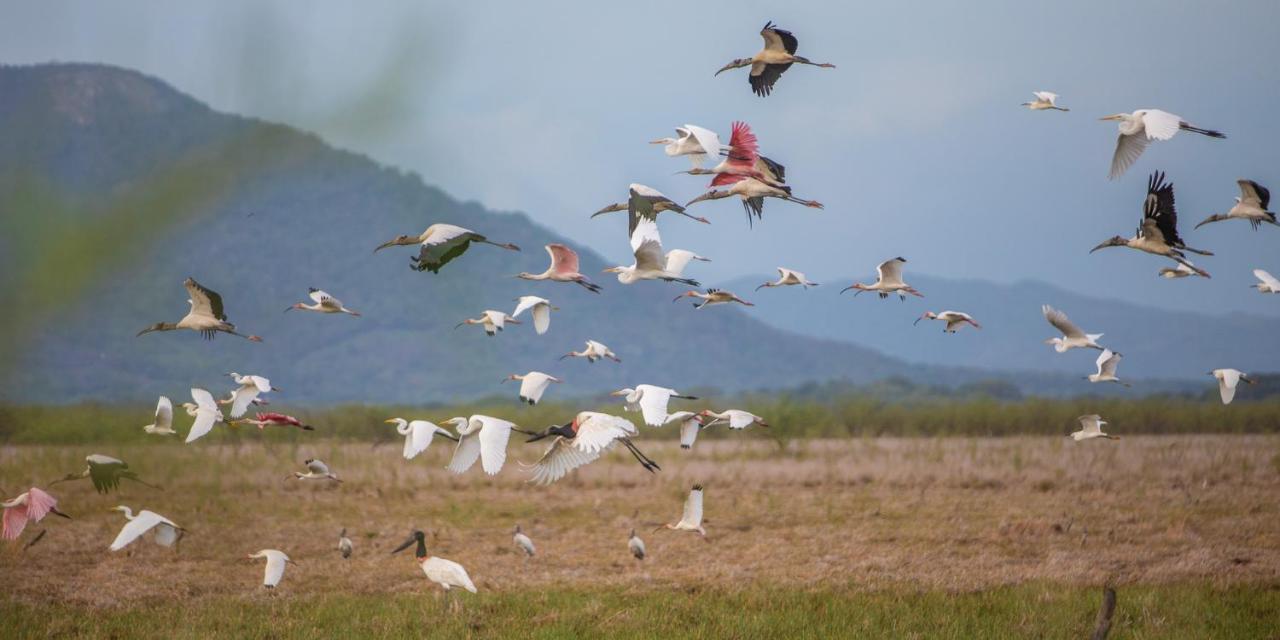 Rancho Humo Estancia Puerto Humo  المظهر الخارجي الصورة
