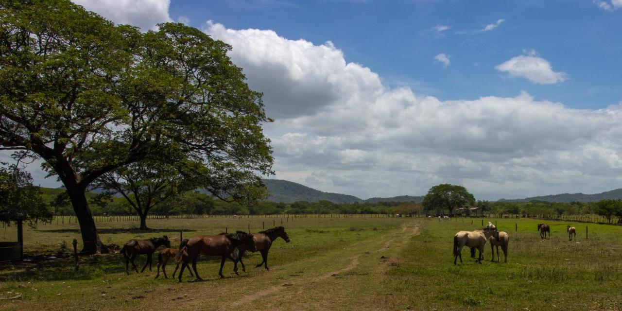 Rancho Humo Estancia Puerto Humo  المظهر الخارجي الصورة
