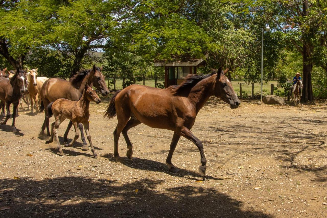 Rancho Humo Estancia Puerto Humo  المظهر الخارجي الصورة